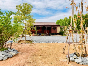 mountain view fishing sport & homestay